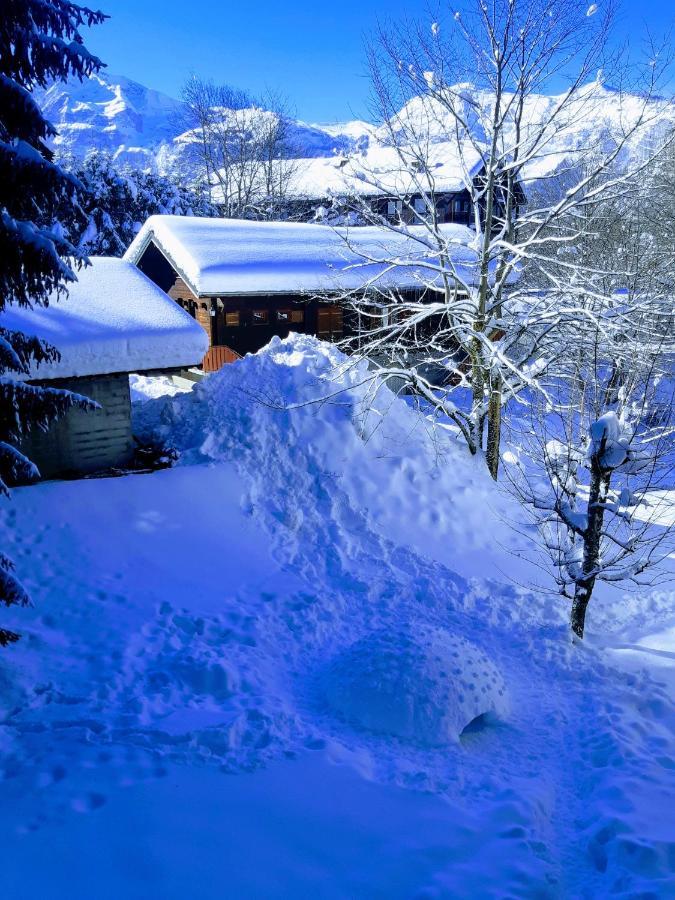 Appartement En Station De Ski A 700 M Des Telecabines Et 100 M Du Centre-Village Les Carroz d'Arâches Exterior foto