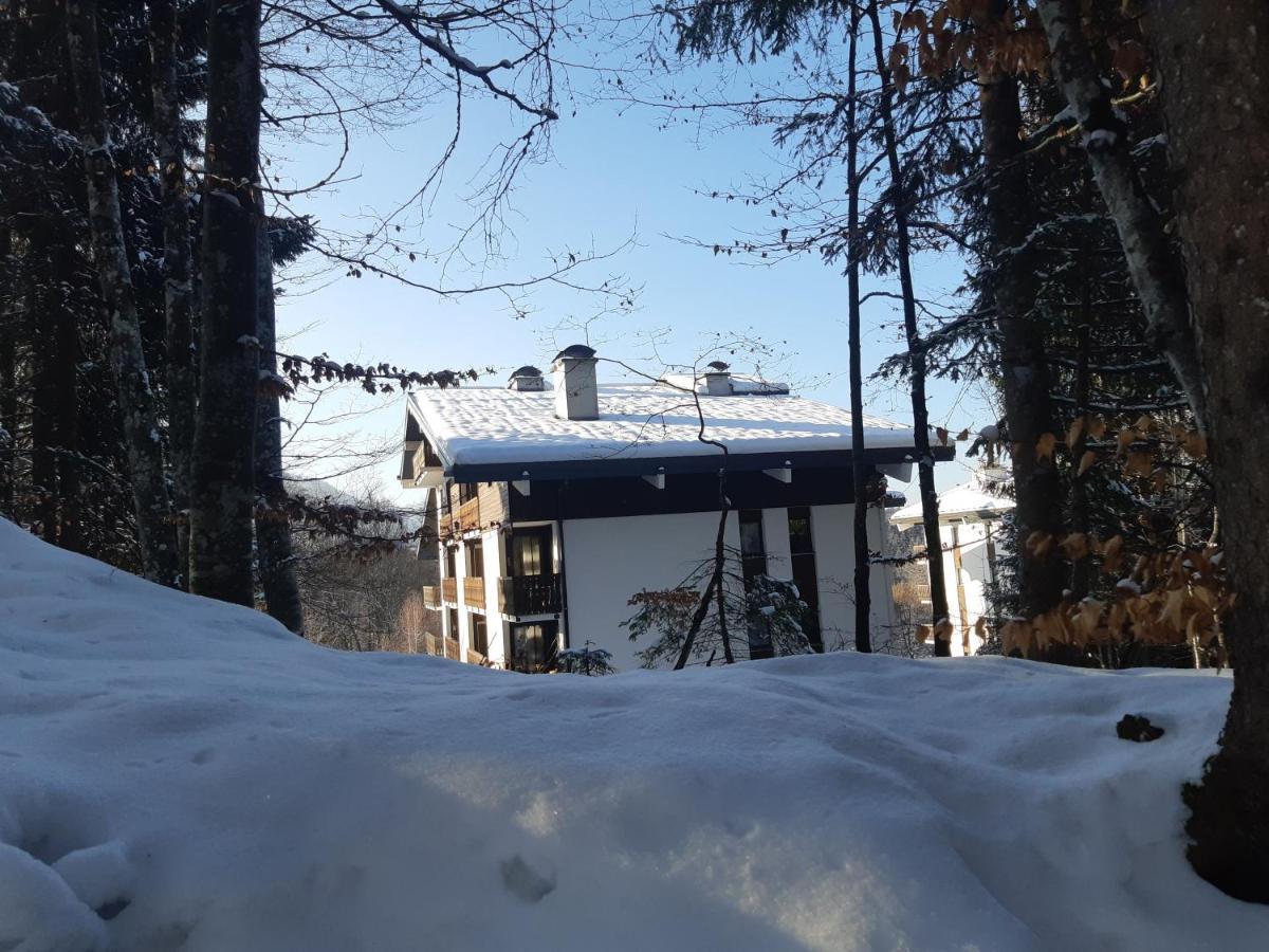Appartement En Station De Ski A 700 M Des Telecabines Et 100 M Du Centre-Village Les Carroz d'Arâches Exterior foto
